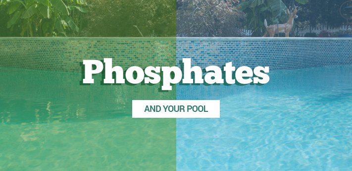 Phosphates and your pool