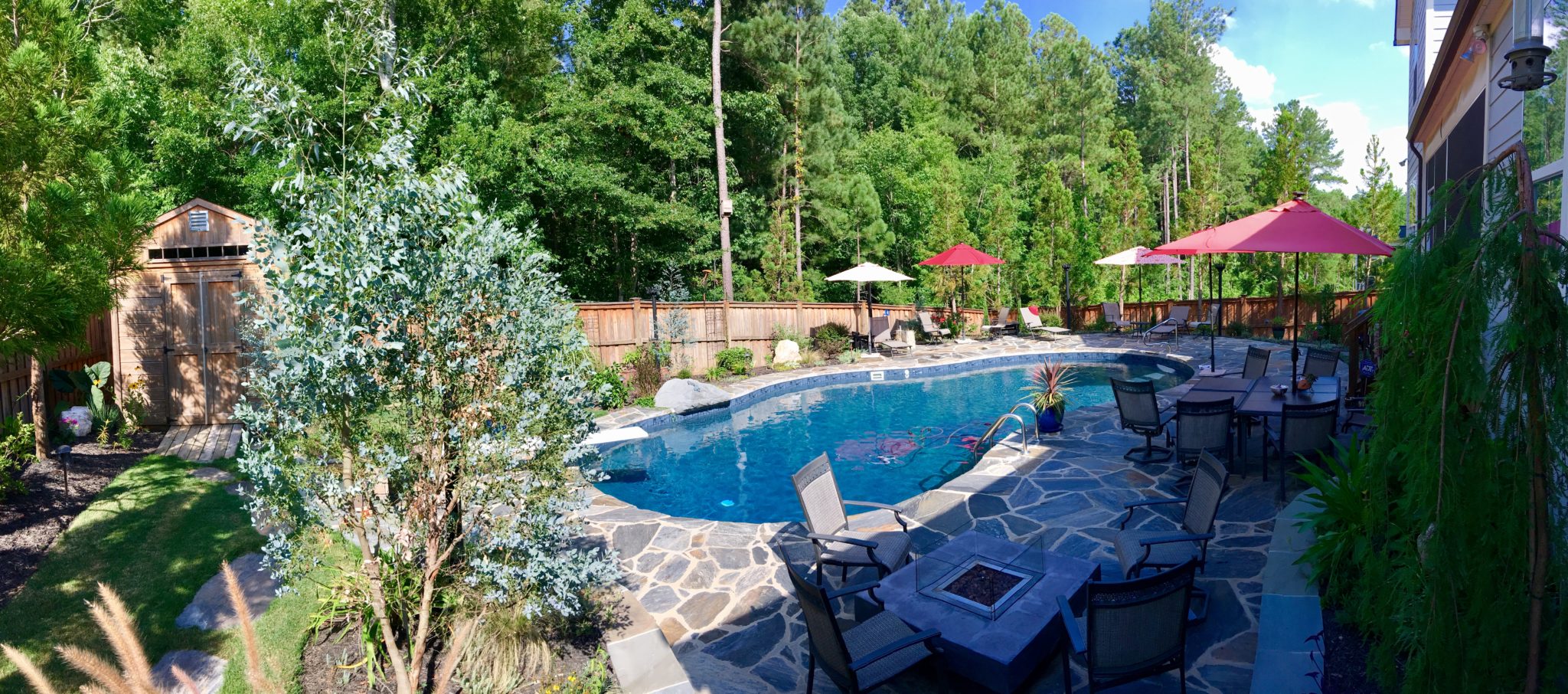 Rising sun pools and spas backyard pool with plants and furniture