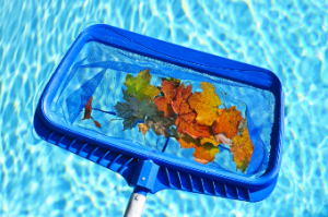 Rising sun pools and spas pool skimmer with leaves