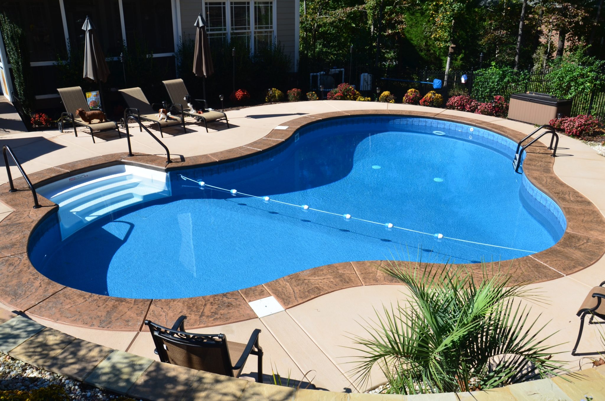 Rising sun pools and spas backyard pool with lane rope