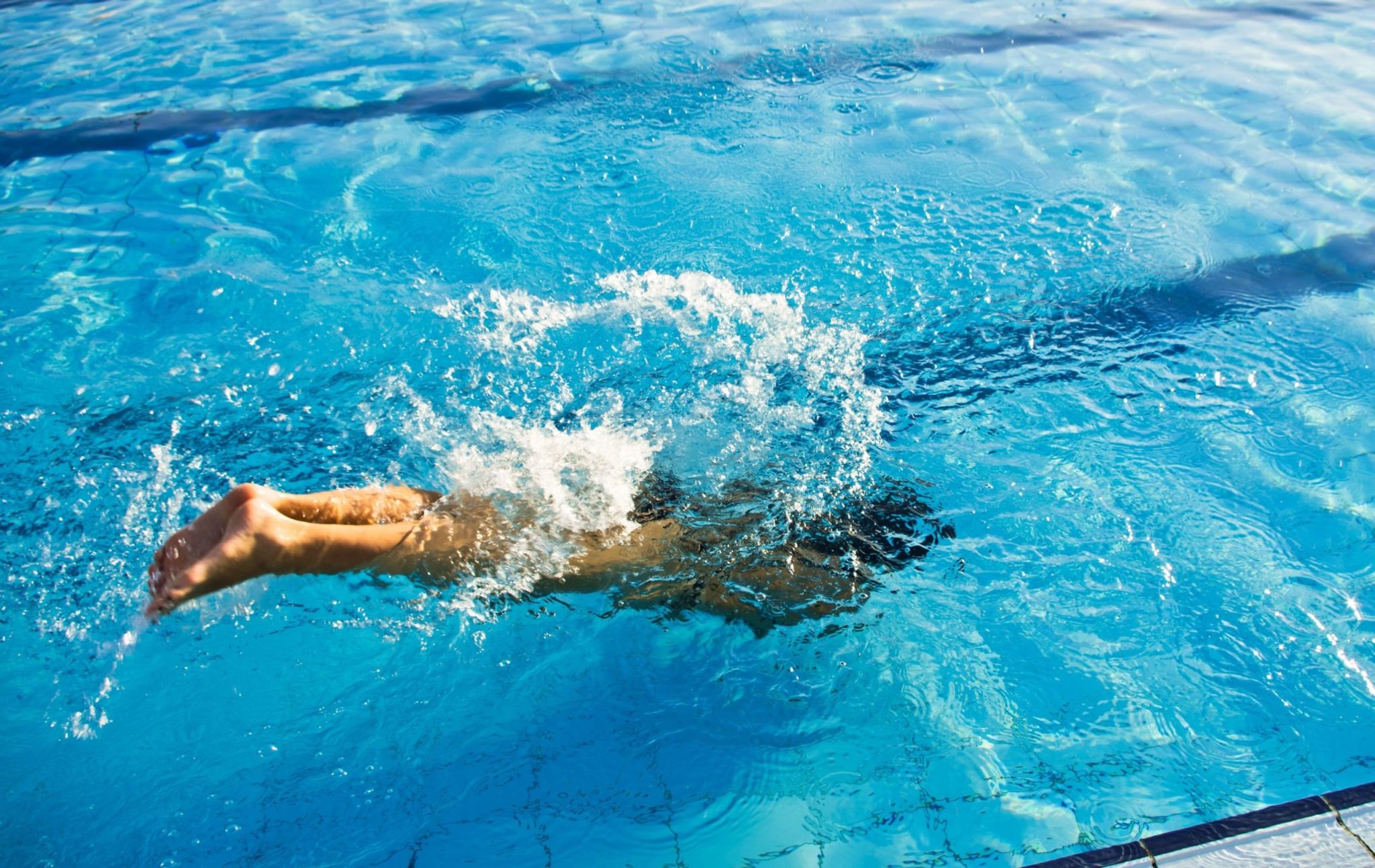 Swimmer Diving Into Pool | Rising Sun Pools & Spas