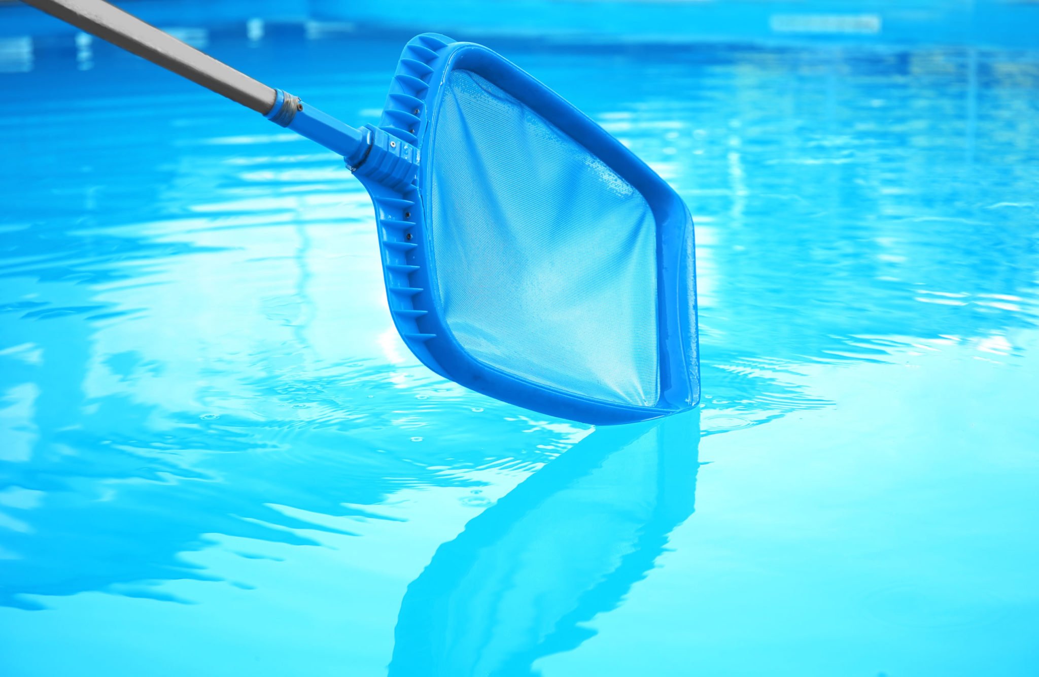 Get Rid of Pollen in Your Pool - Rising Sun Pools & Spas - Raleigh, NC