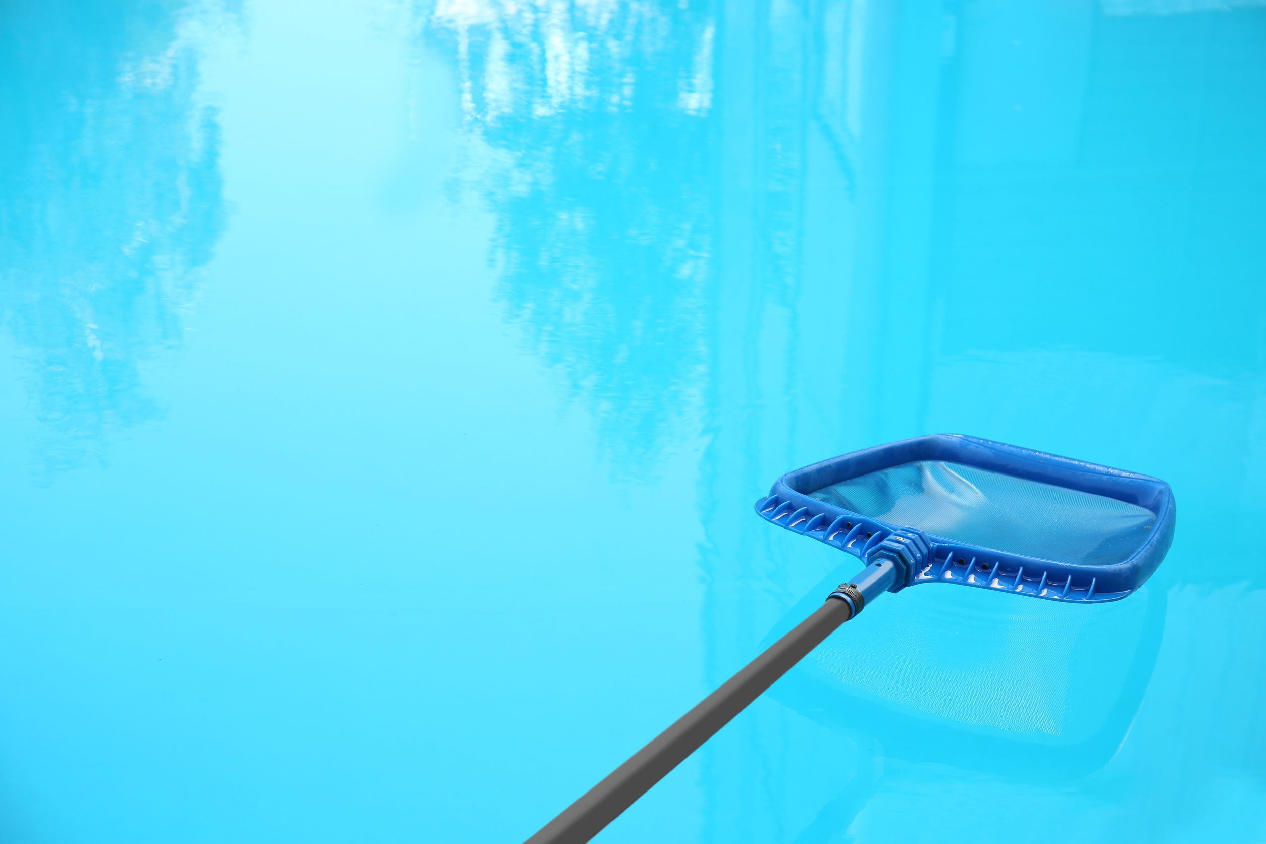 Rid Your Pool of Water Bugs | Rising Sun Pools & Spas