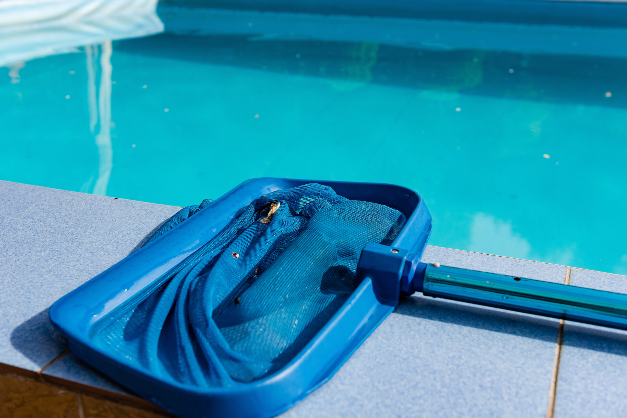 Pool skimmer net sitting next to a pool