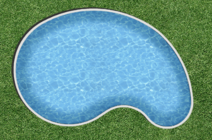 Kidney-shaped Pool
