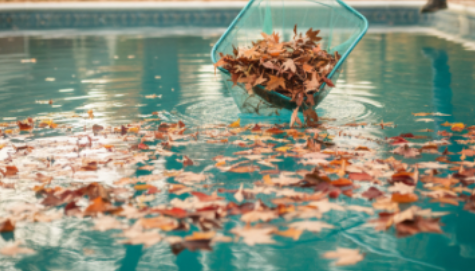Tips from Rising Sun Pools & Spas on keeping your pool free of leaves this fall.